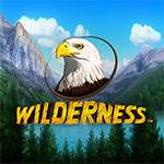 Wilderness